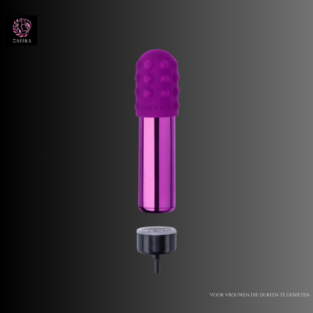 Le Wand Bullet Paars