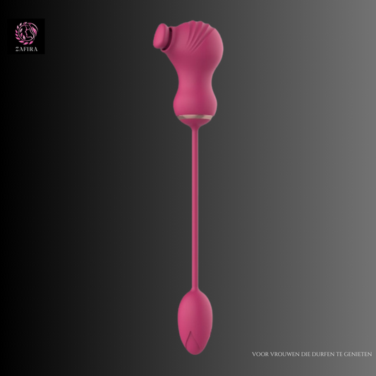 Dream Toys Essentials