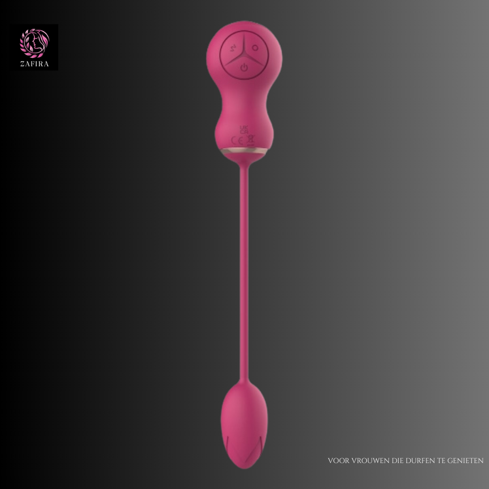 Dream Toys Essentials